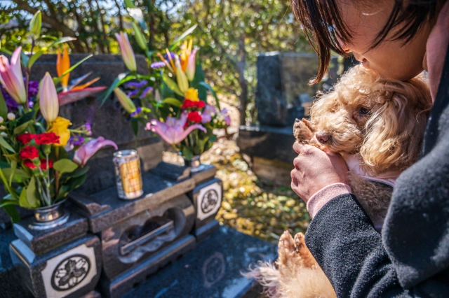 訪問ペット火葬以外にペット葬儀に対応しているのはペット霊園